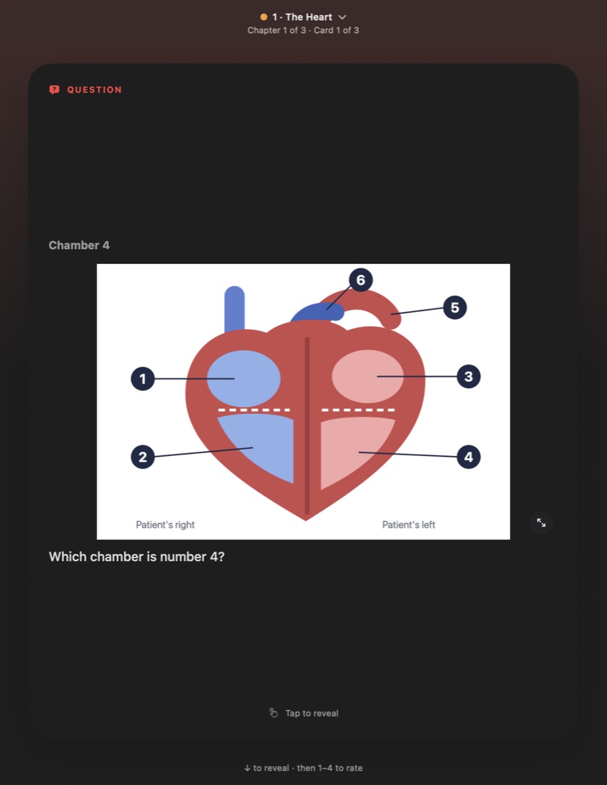 A question card about the heart, with the hint 